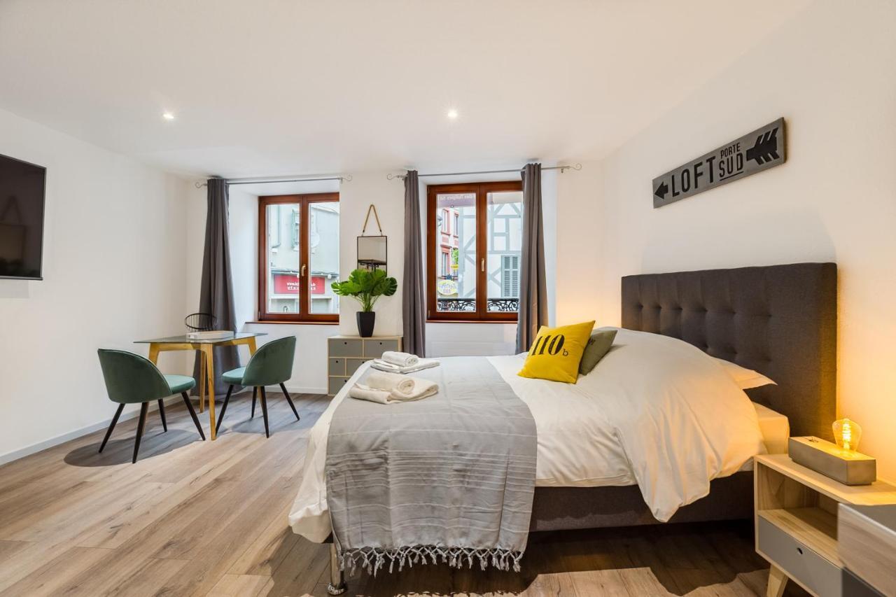 Travel Homes - L'Arsenal, Studios En Hyper Centre Mulhouse Exterior photo