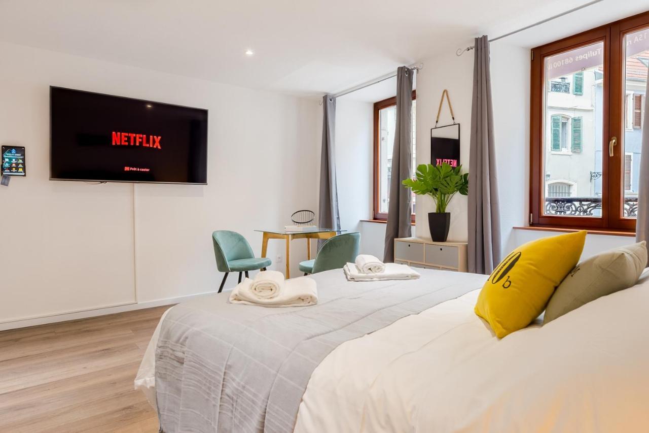 Travel Homes - L'Arsenal, Studios En Hyper Centre Mulhouse Exterior photo